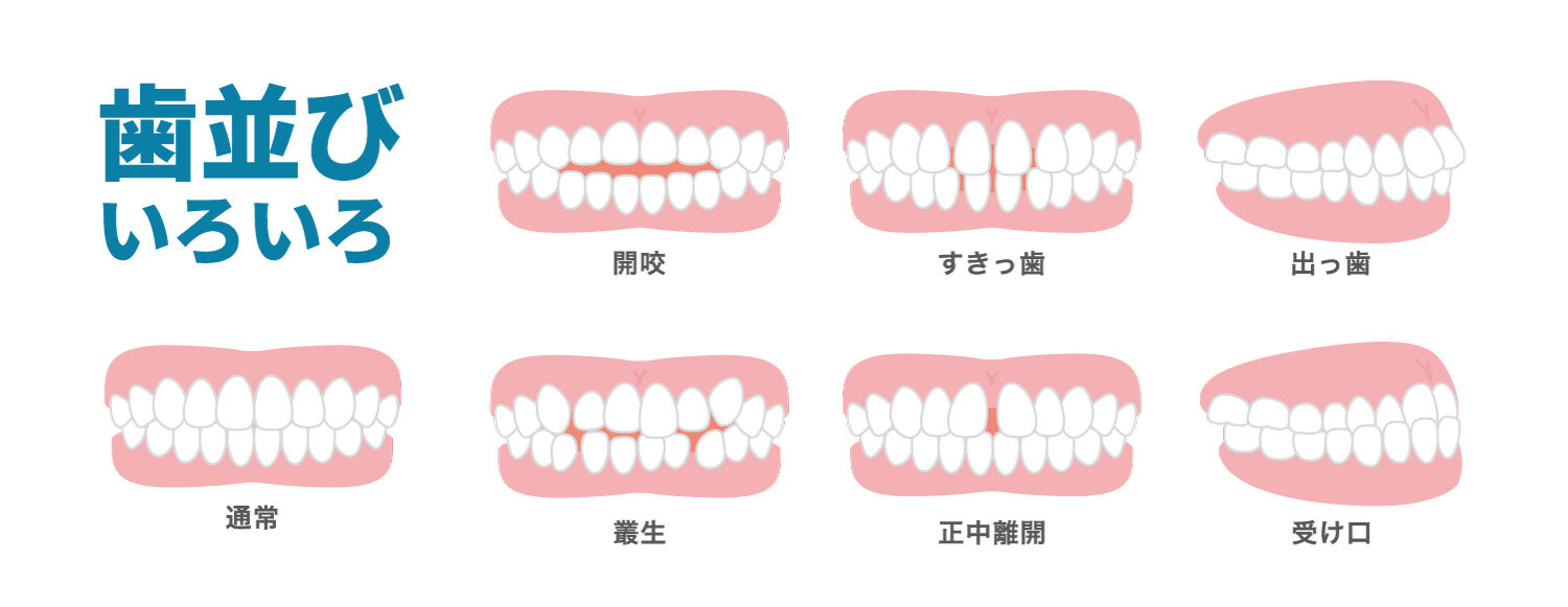 23082808.jp